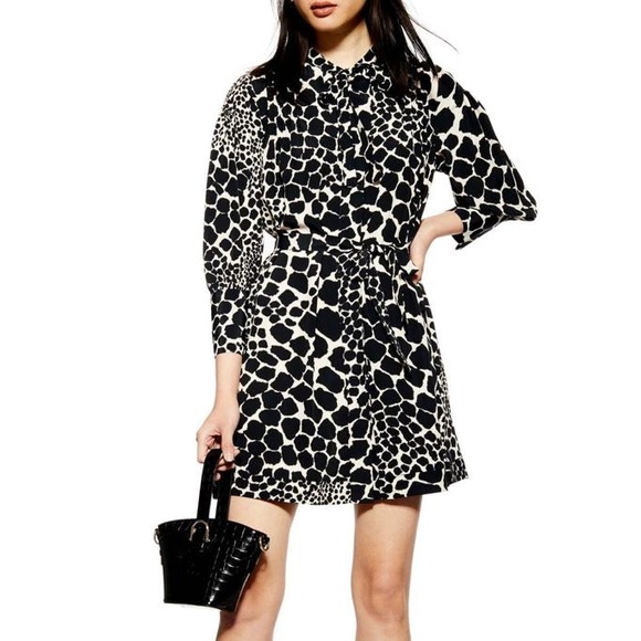 Topshop Dresses & Skirts - TopShop  leopard dress size 12US